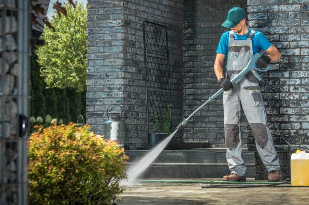 Best Graffiti Removal  in Montevlo, AL