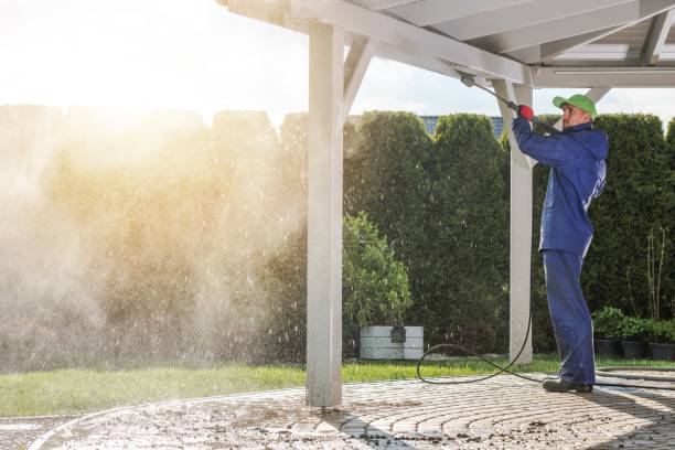 Best Solar Panel Cleaning  in Montevlo, AL